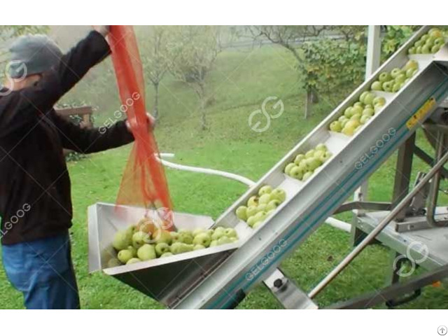 Apple Fruit Crusher And Juicer Plants