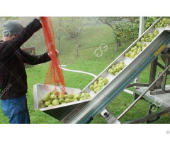 Apple Fruit Crusher And Juicer Plants