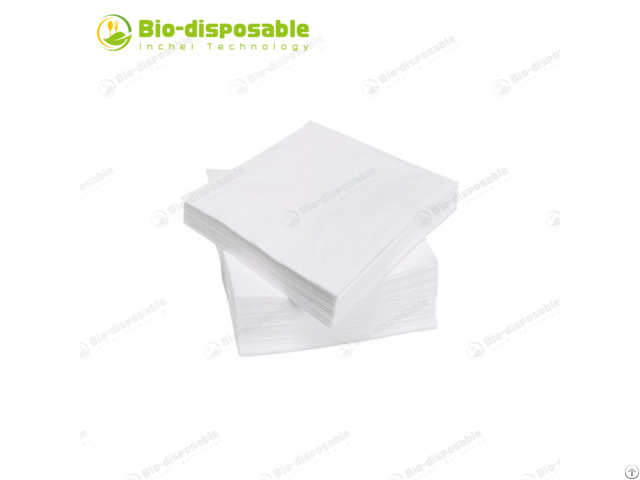 Biodisposable Napkins