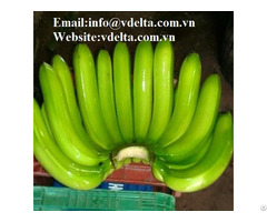 Fresh Banana Best Price From Viet Nam