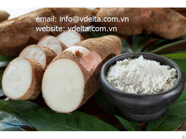 Tapioca Flour From Viet Nam