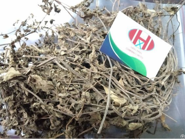 Vietnam Dried Grass Jelly Leaves Helen 84346922313