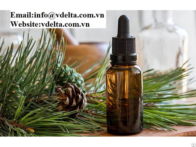 Natural Pure Pine Oil Best Price Viet Nam