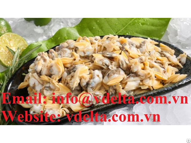 Vietnam Clam Meat In Vacuum Pack With High Quality