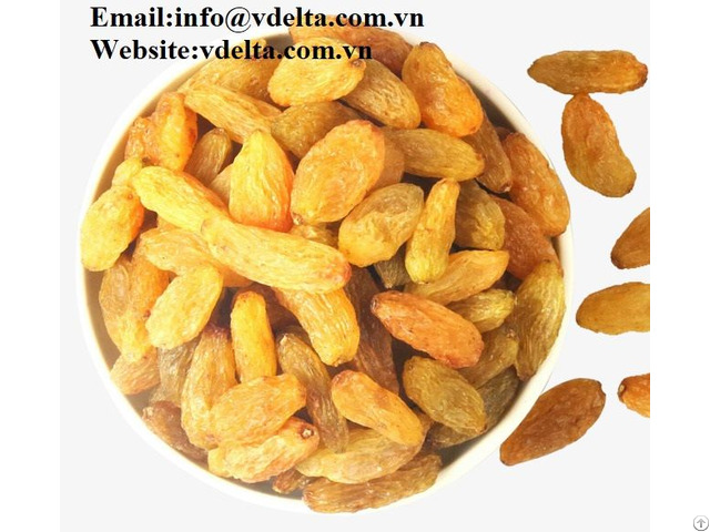 High Quality Dried Grapes Best Price From Viet Nam