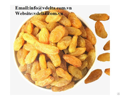 High Quality Dried Grapes Best Price From Viet Nam