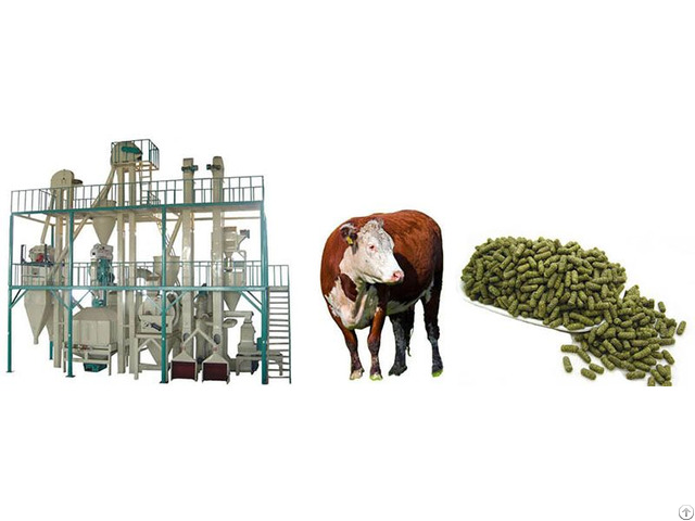 Superior Quality Cattle Feed Pellet Plant