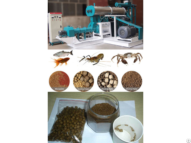 Best Fish Feed Pellet Extruder Machine Manufacturer