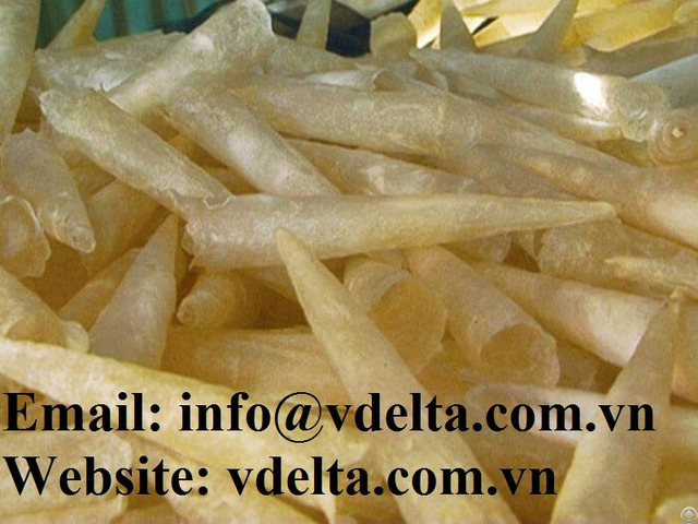 Supplier Dried Barramundi Fish Maw With The Cheapest Price