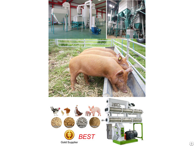 Poultry Feed Pellet Machine Application For Pig Breeding