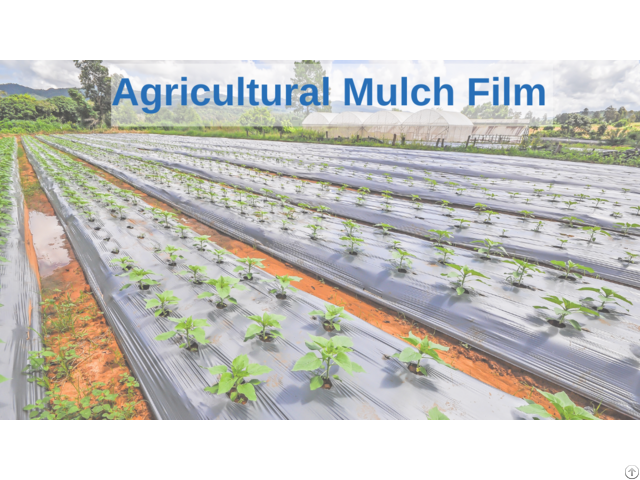 Agricultural Mulch Films Manufacturer And Supplier