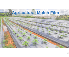 Agricultural Mulch Films Manufacturer And Supplier