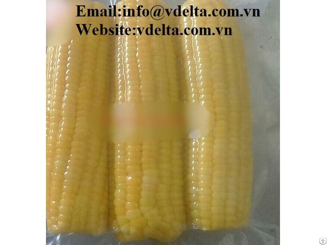 High Quality Frozen Sweet Corn From Vietnam