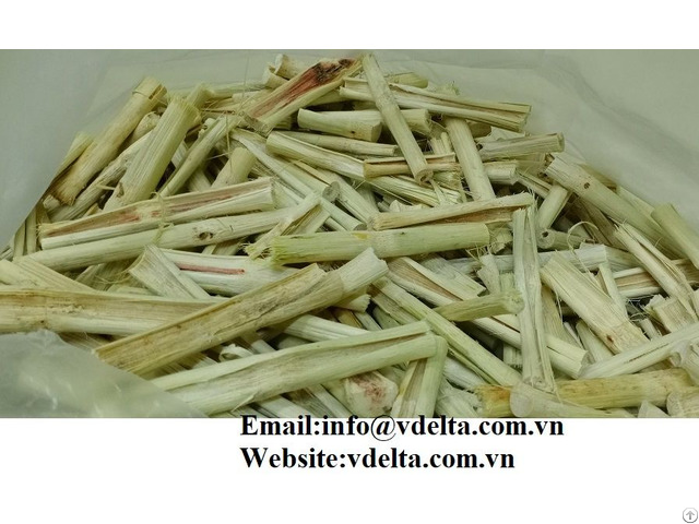 Dried Sugar Cane In Viet Nam Best Price