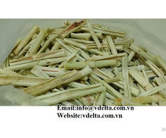 Dried Sugar Cane In Viet Nam Best Price