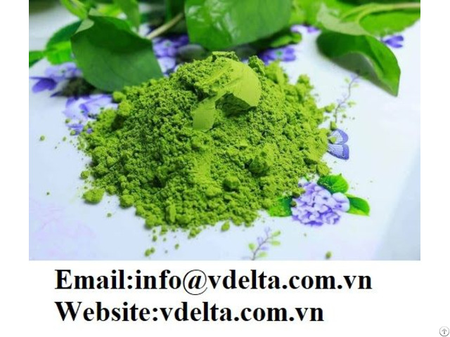 High Quality Fish Mint Leaf Powder