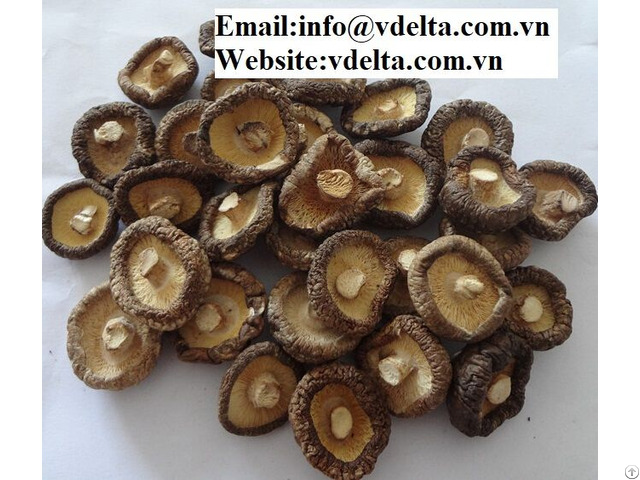 High Quality Dried Shiitake Mushroom From Viet Nam