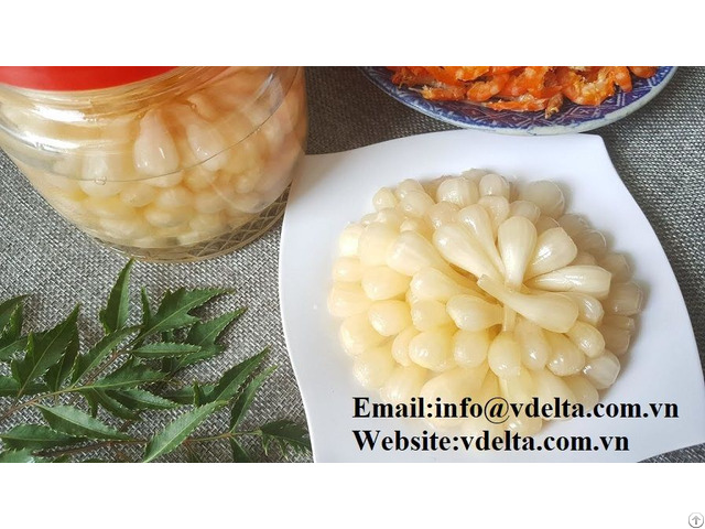 Canned Scallion Pickled Onion Vegetable Special Food From Vietnam