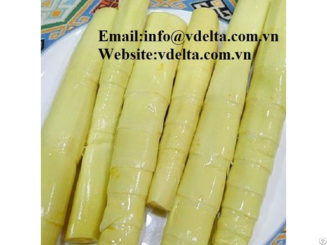 High Qualtiy Pickled Bamboo Shoot