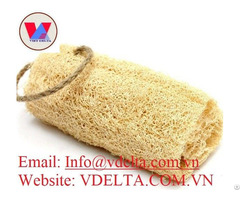 Natural Dried Whole Cutting Loofah From Vietnam 2020