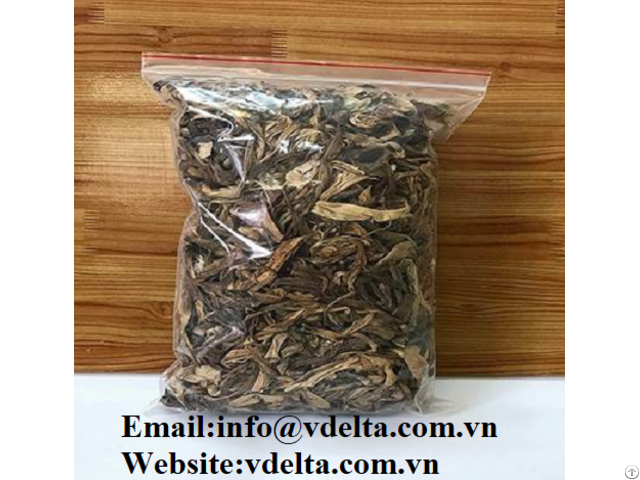 Dried Crinum Latifolium For Herbal Extract Viet Nam