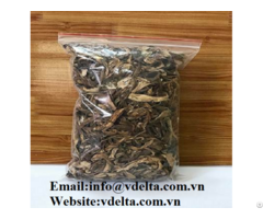 Dried Crinum Latifolium For Herbal Extract Viet Nam