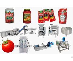 35% Brix Mini Tomato Paste Production Line Output 220 Kg H