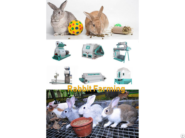 Rabbit Feed Pellet Machine On Sale