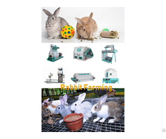 Rabbit Feed Pellet Machine On Sale