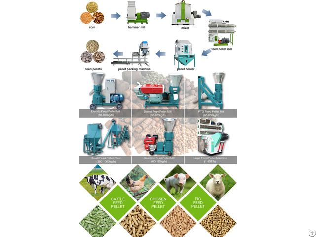 Choose A Pelletizing Machine For Dairy Feed Making Business