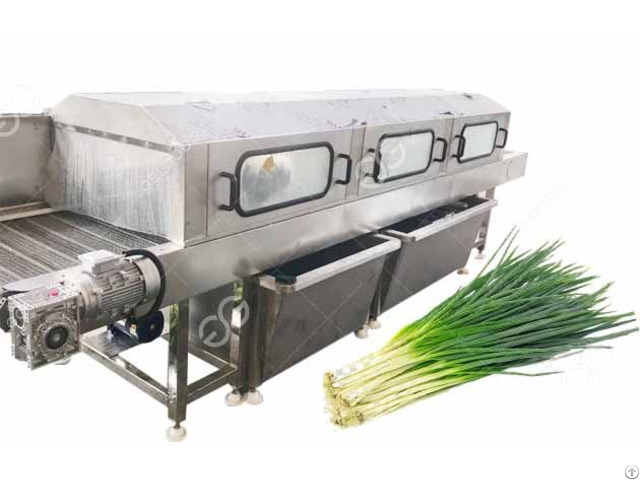 Automatic Green Onion Washing Machine For Long Leafy Vegetables