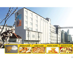 Multi Story Flour Milling Plant