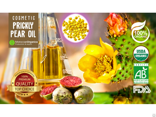 Organic Prickly Pear Seed Oil Morocco