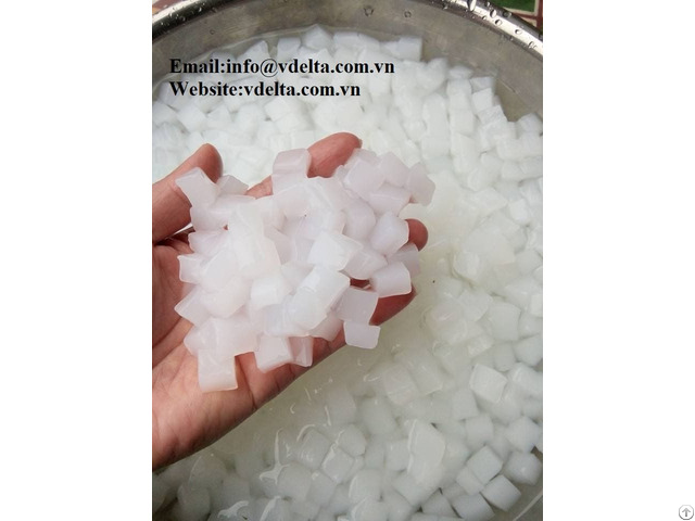 High Quality Coconut Jelly With Best Price Vietnam