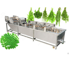 Moringa Leaf Washing Machine Leafy Vegetable Cleaning