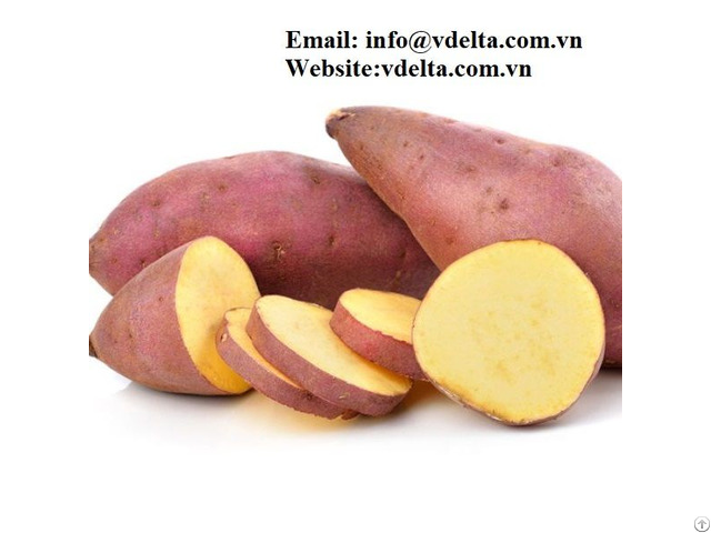 Frozen Sweet Potato Best Price