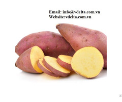 Frozen Sweet Potato Best Price