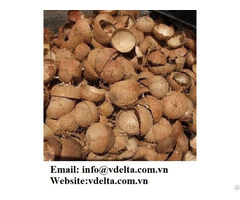 Viet Nam Coconut Shell With Best Price
