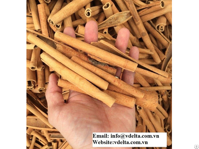 High Quality Cinamon Stick From Viet Nam