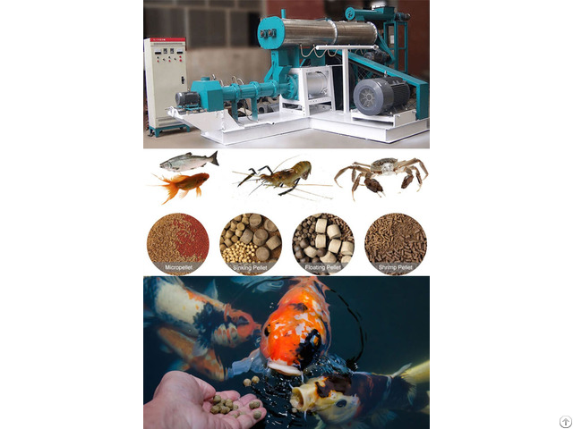 Fish Feed Extruder Machine In Aquatic Food Pellet Production
