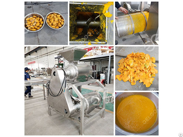 Stainless Steel Mango Pulp Extraction Machine