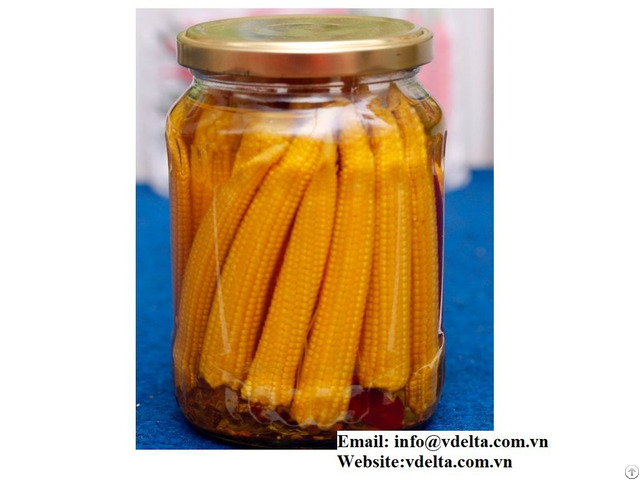 High Quality Canned Baby Corn From Vietnam