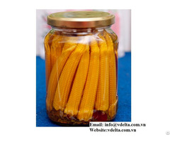 High Quality Canned Baby Corn From Vietnam