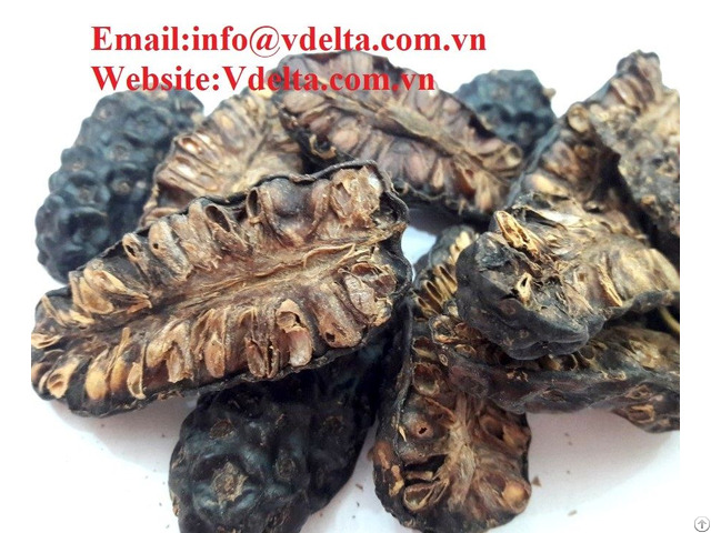 100% Natural Dried Noni High Quality From Vietnam