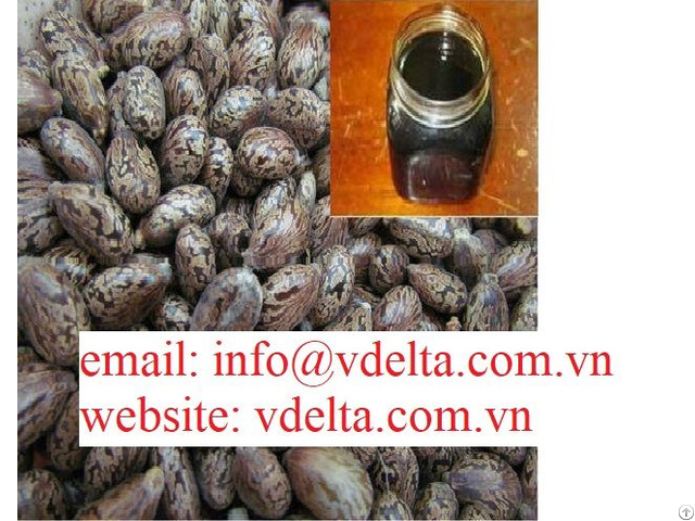 Rubber Seed Crude Oil High Quality From Viet Nam