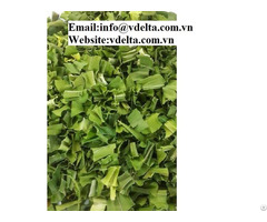 100% Natural High Quality Dried Pandan Leaf Powder