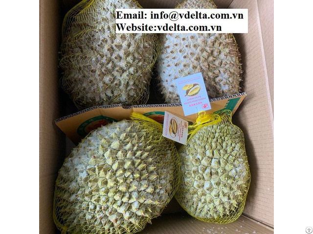 High Quality Frozen Durian From Vietnam