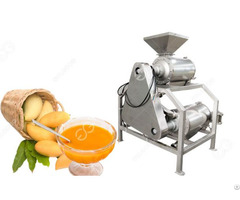 Automatic Stainless Steel Mango Pulp Extraction Machine