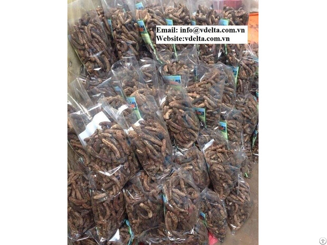 Dried Banana Herbal Musa Balbisiana From Vietnam