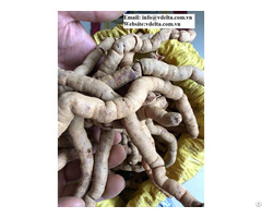 Morinda Officinalis Extract Powder Herbal Ingredients